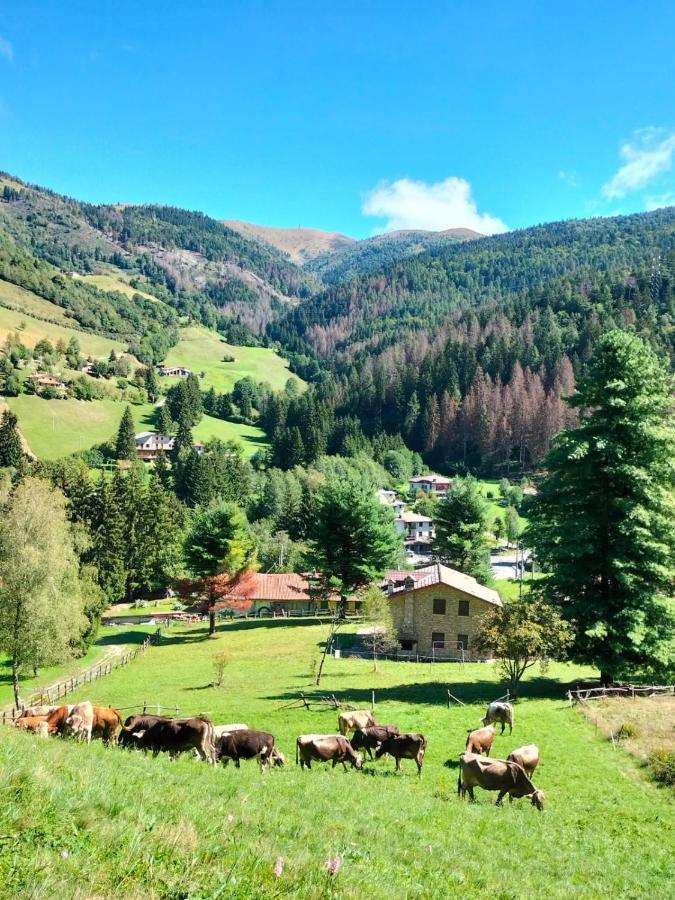 Casa Vacanza Pieve Pisogne Zewnętrze zdjęcie